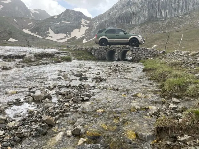 Terenac na kamenitoj planinskoj padini sa ostacima snijega